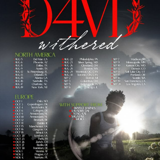 Promotional photograph of Concierto de D4vd en Zúrich.