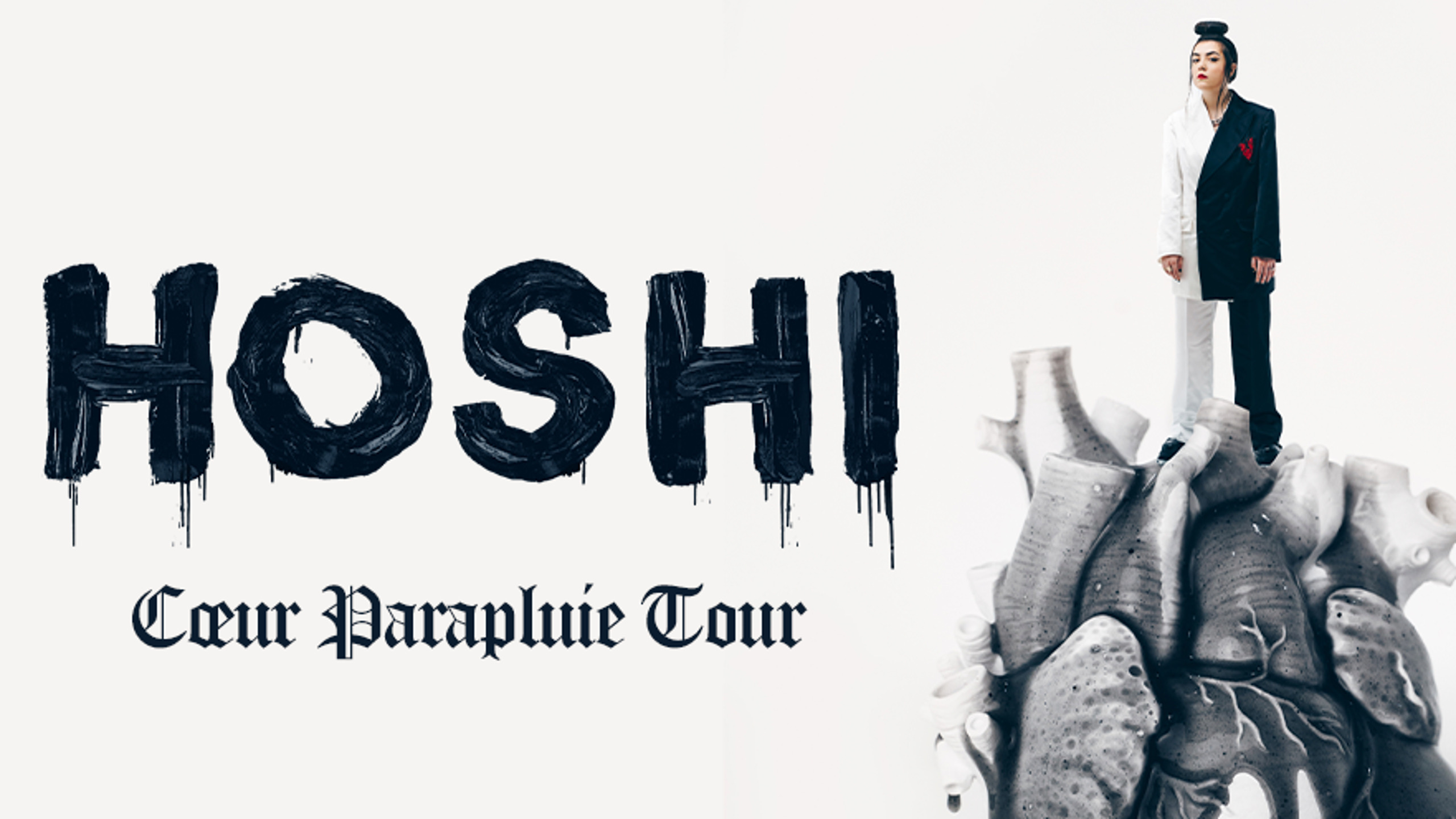 Fotografía promocional de Concierto de Hoshi en Caen