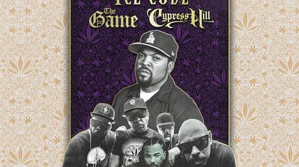 Ice Cube concert à Dublin