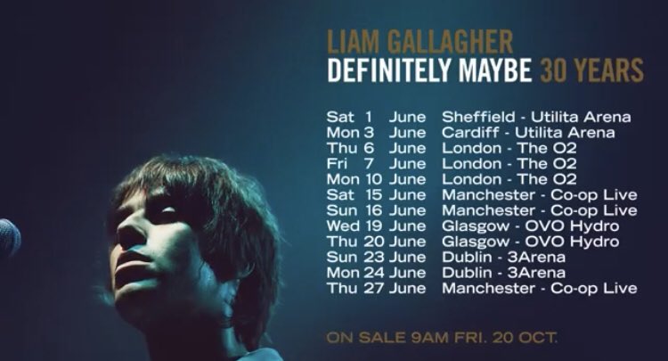 Promotional photograph of Concierto de Liam Gallagher en Dublin.