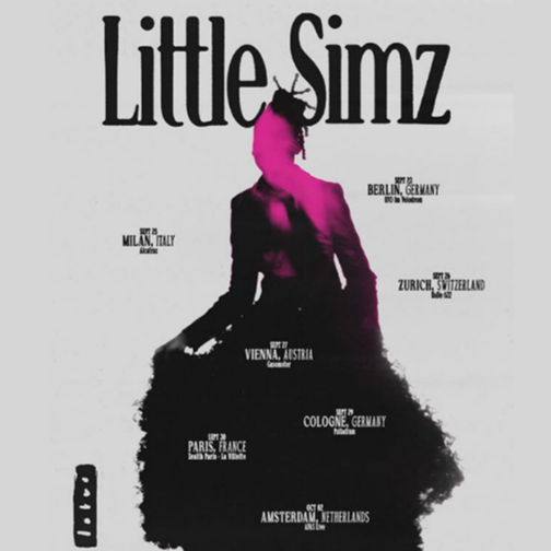 Promotional photograph of Concierto de Little Simz en Amsterdam.