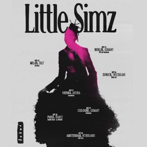 Promofoto von Concierto de Little Simz en Zúrich.