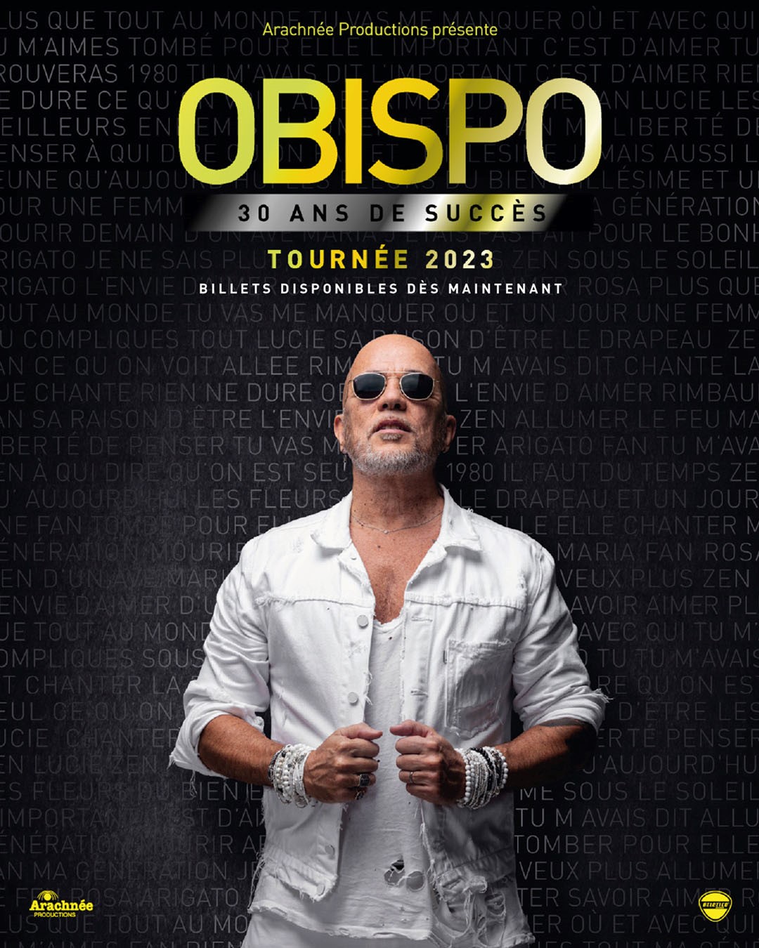 Promotional photograph of Concierto de Pascal Obispo en Douai.