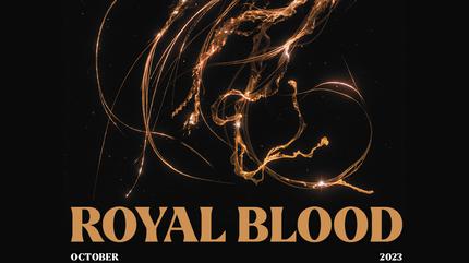 Royal Blood concert in Portsmouth
