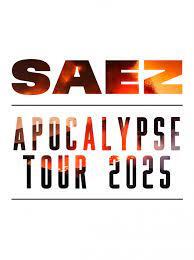 Photographie promotionnelle de Concierto de SAEZ en París.