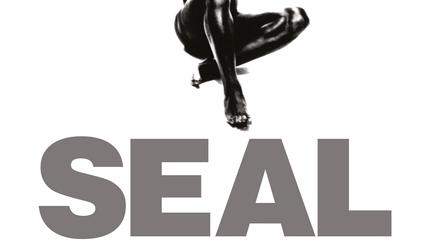 Seal concert in London