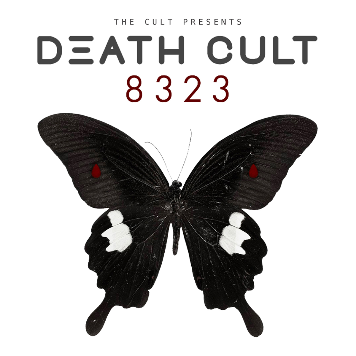 Fotografia promocional de Concierto de The Cult en Belfast.