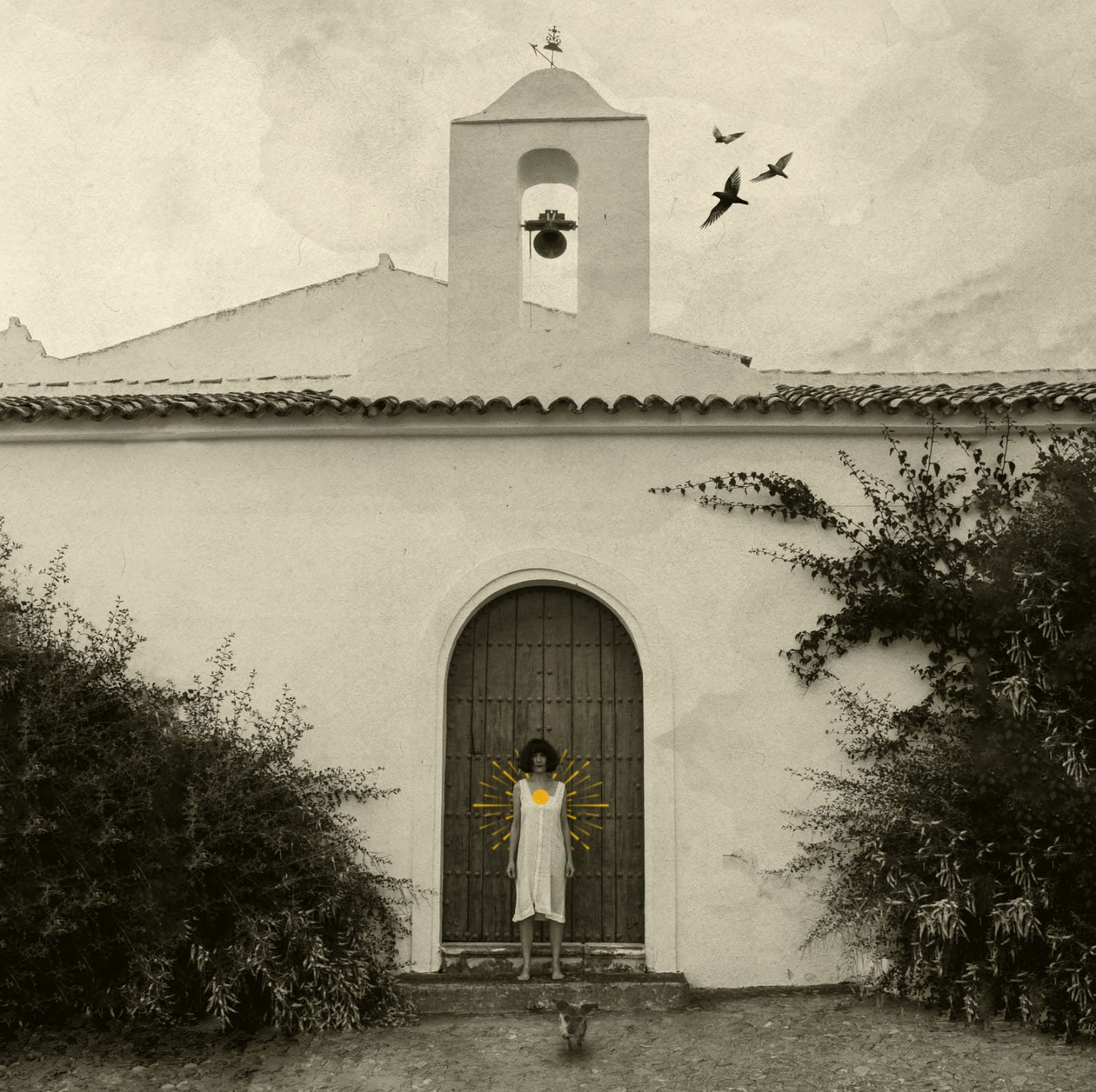 Fotografía promocional de Concierto presentación Marisol Pj - Viernes 6 junio 2025 - Sala Hangar - Córdoba