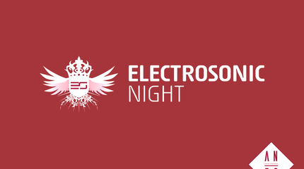 Electrosonic Night