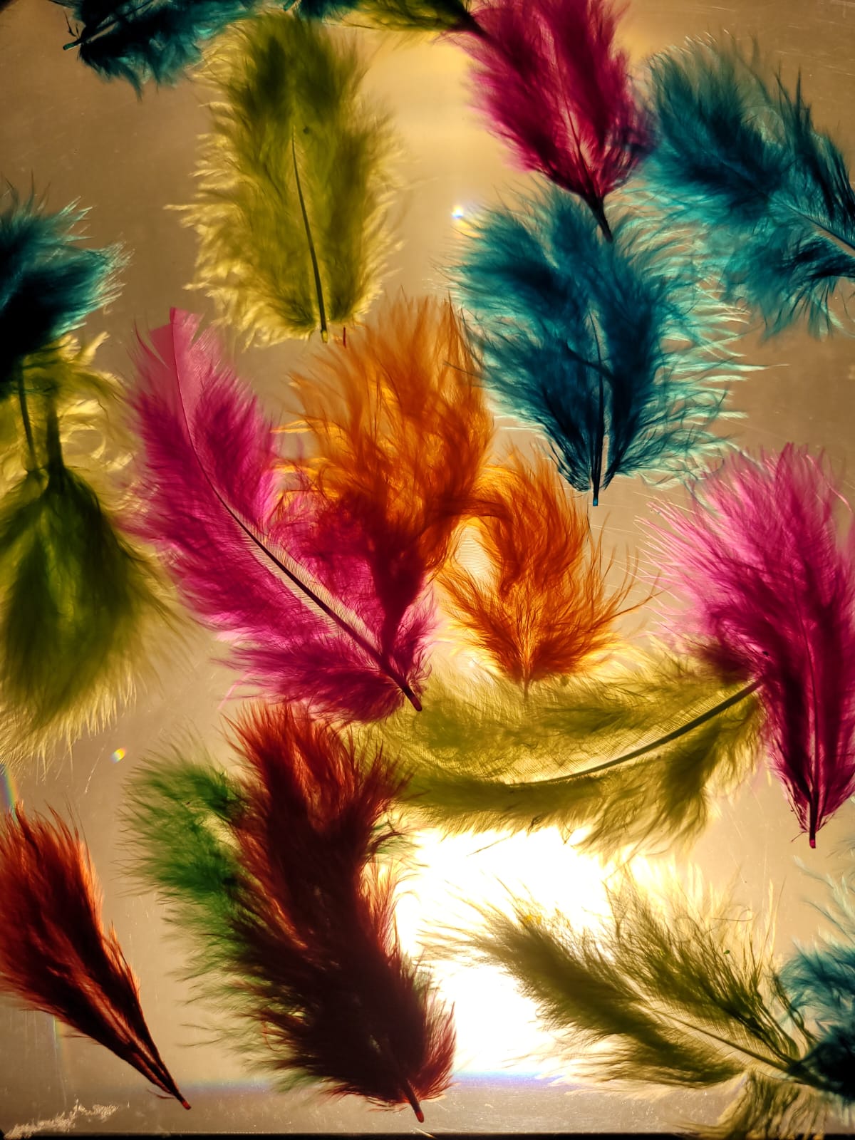 Fotografía promocional de ESCENICA "FORMAS DE AMOR" en el Contenedor Cultural