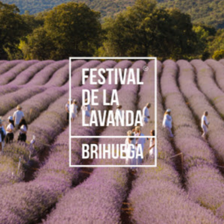 Fotografía promocional de Festival de la Lavanda 2025