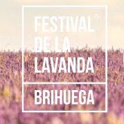 Fotografía promocional de Festival de la Lavanda