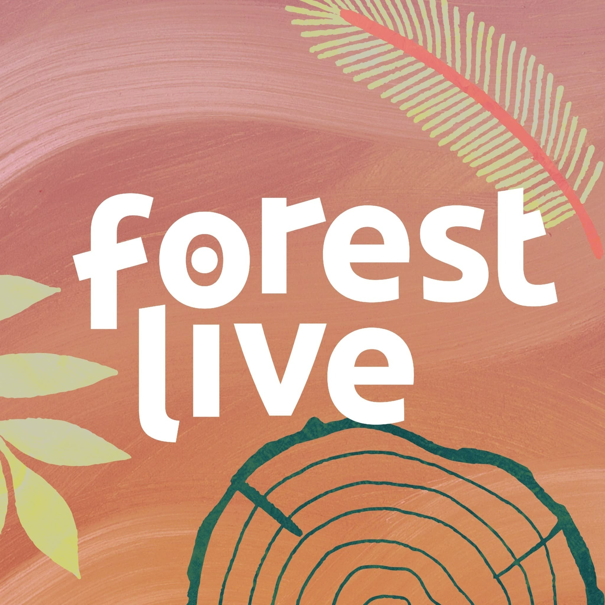 Promotional photograph of Forest Live 2024.