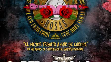 Gansos Rosas + Bed Of Rosas