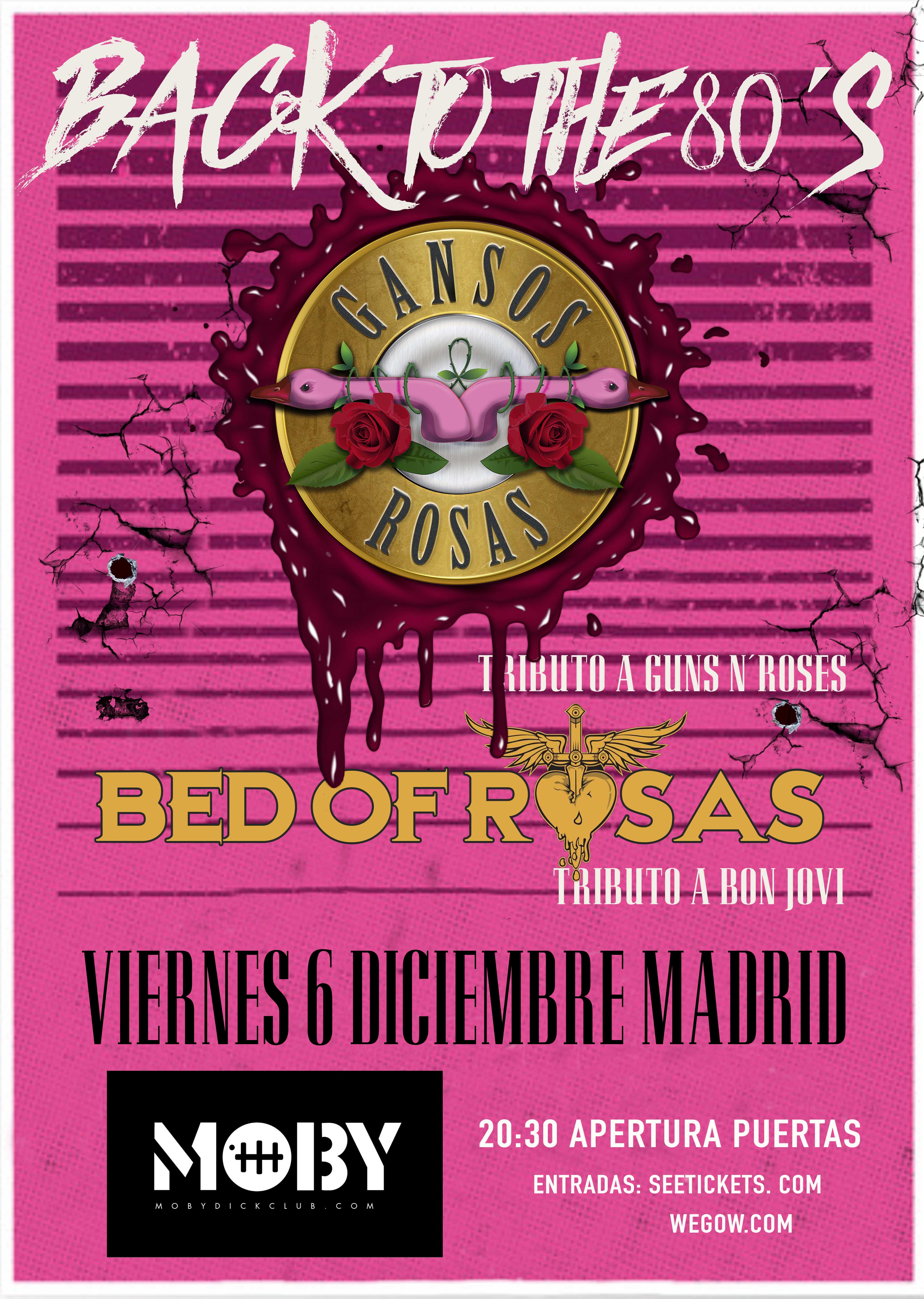 Fotografía promocional de Gansos Rosas + Bed of Rosas en Madrid 2024