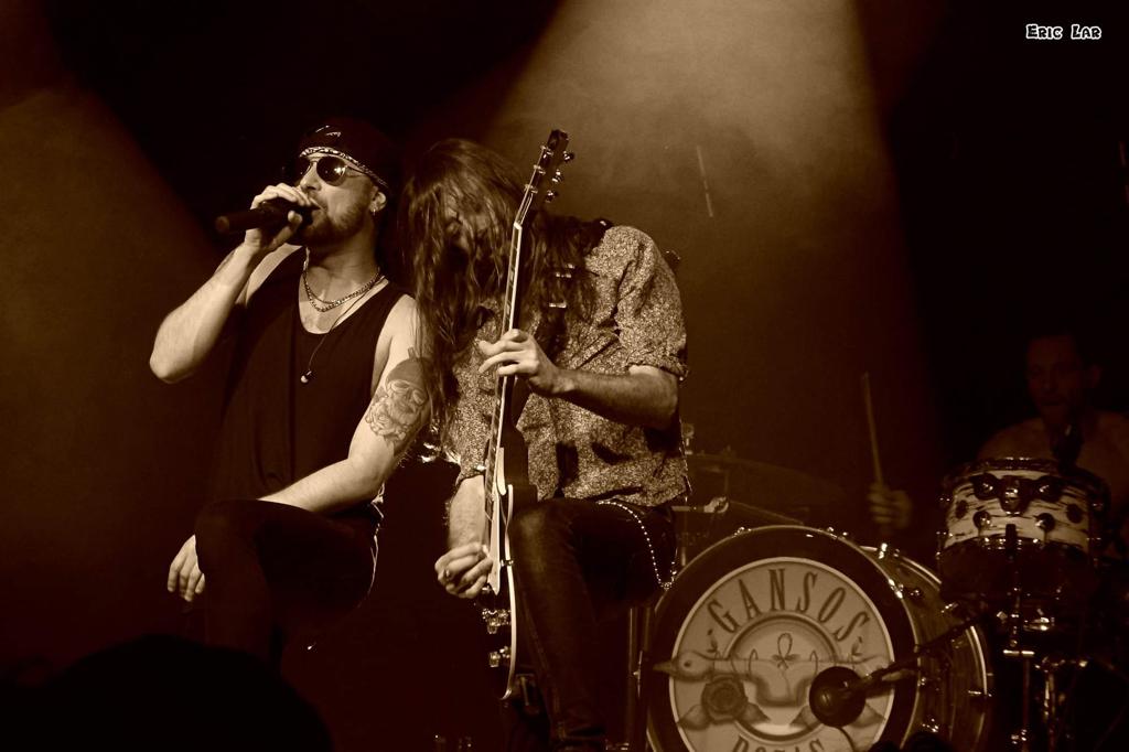 Fotografía promocional de Gansos Rosas en Matadero Club, Ayora