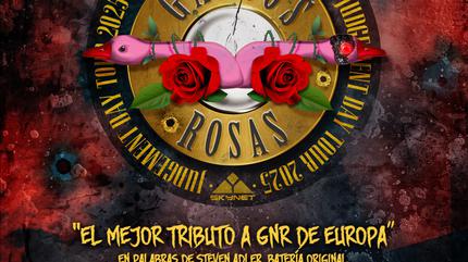 Gansos Rosas