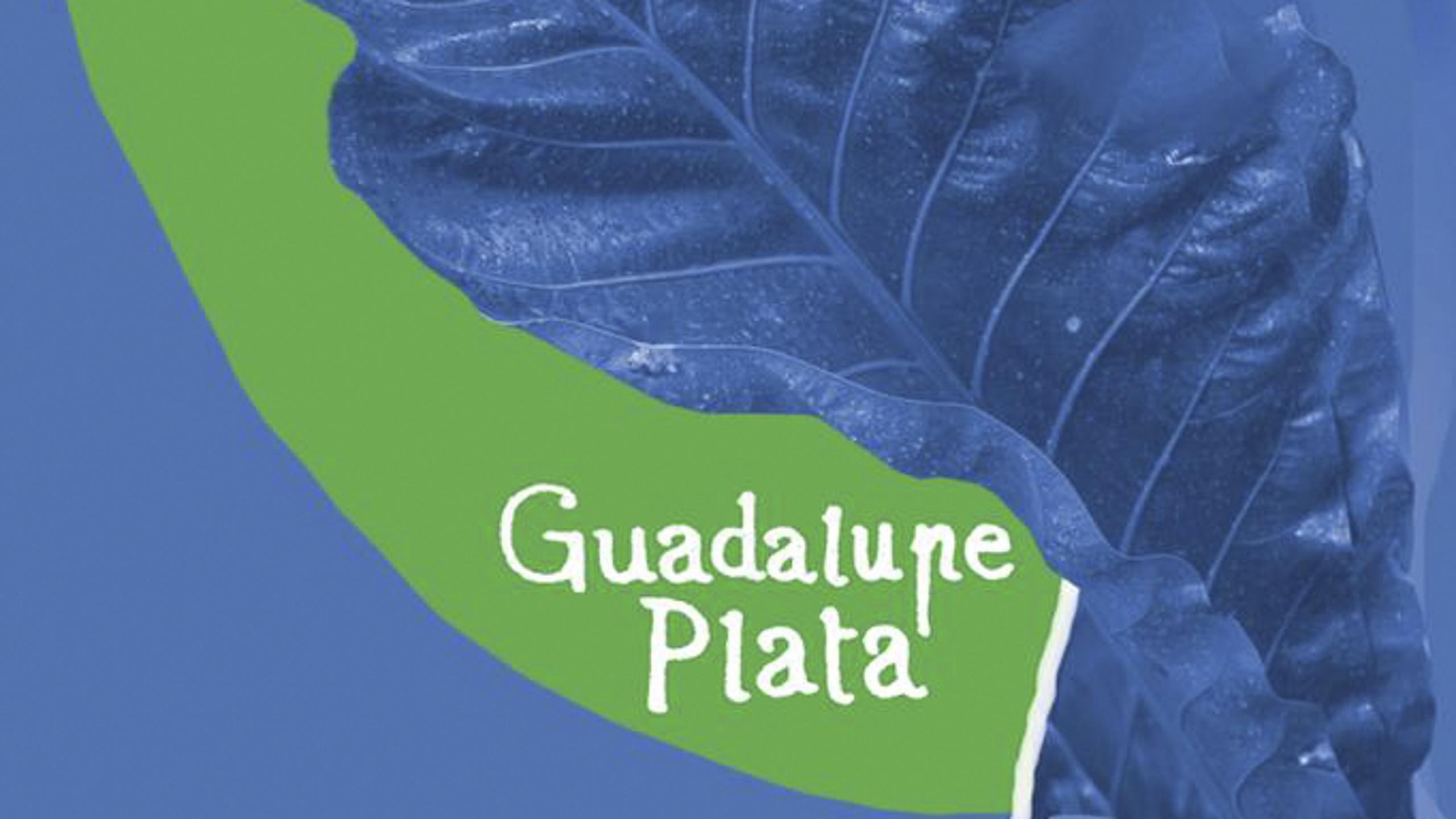 Fotografía promocional de Guadalupe Plata en Sons al Botànic