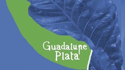 Guadalupe Plata en Sons al Botànic