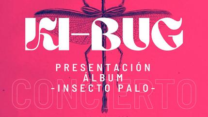 Ki-Bug