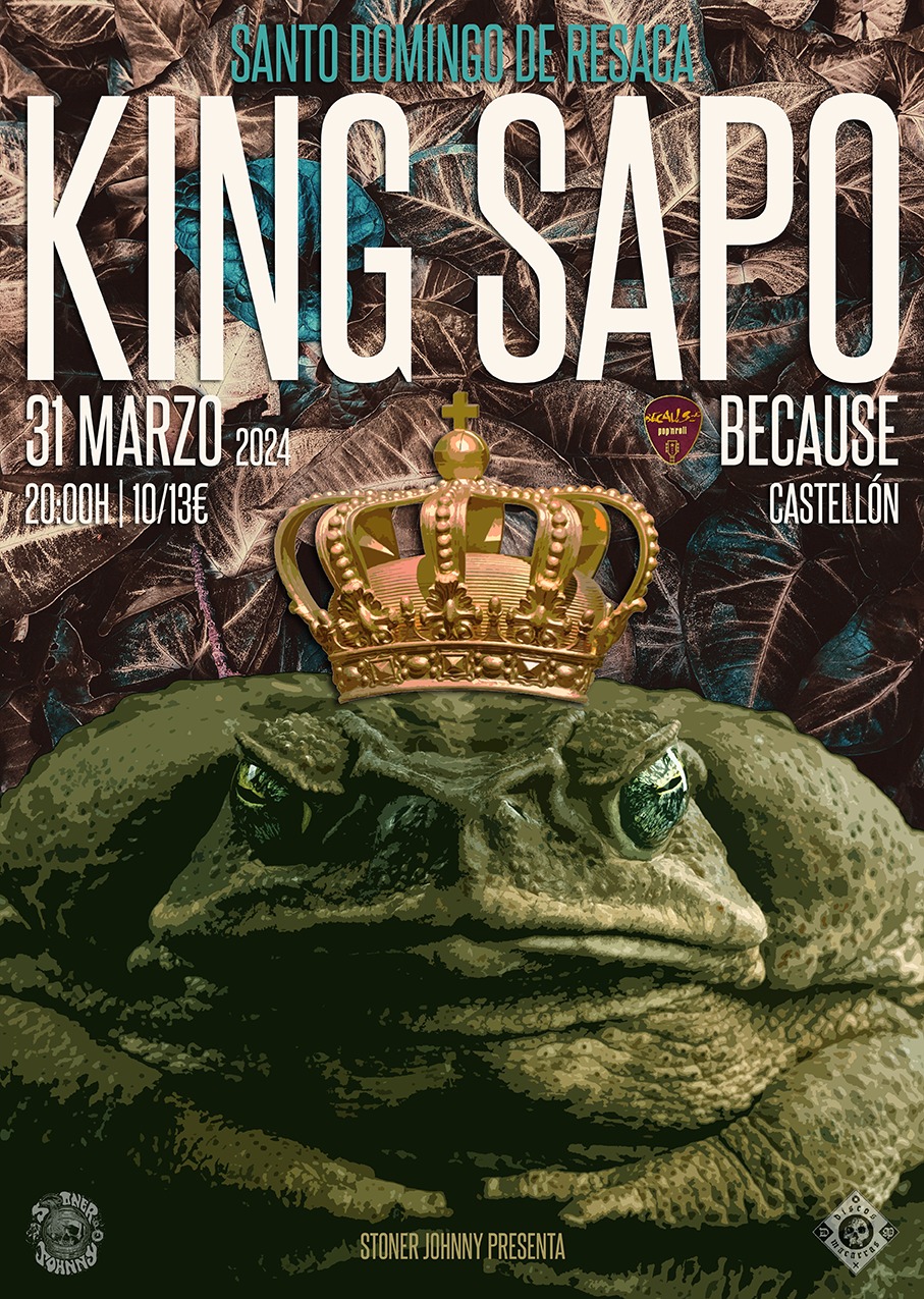 Fotografía promocional de KING SAPO en CASTELLÓN sala Because