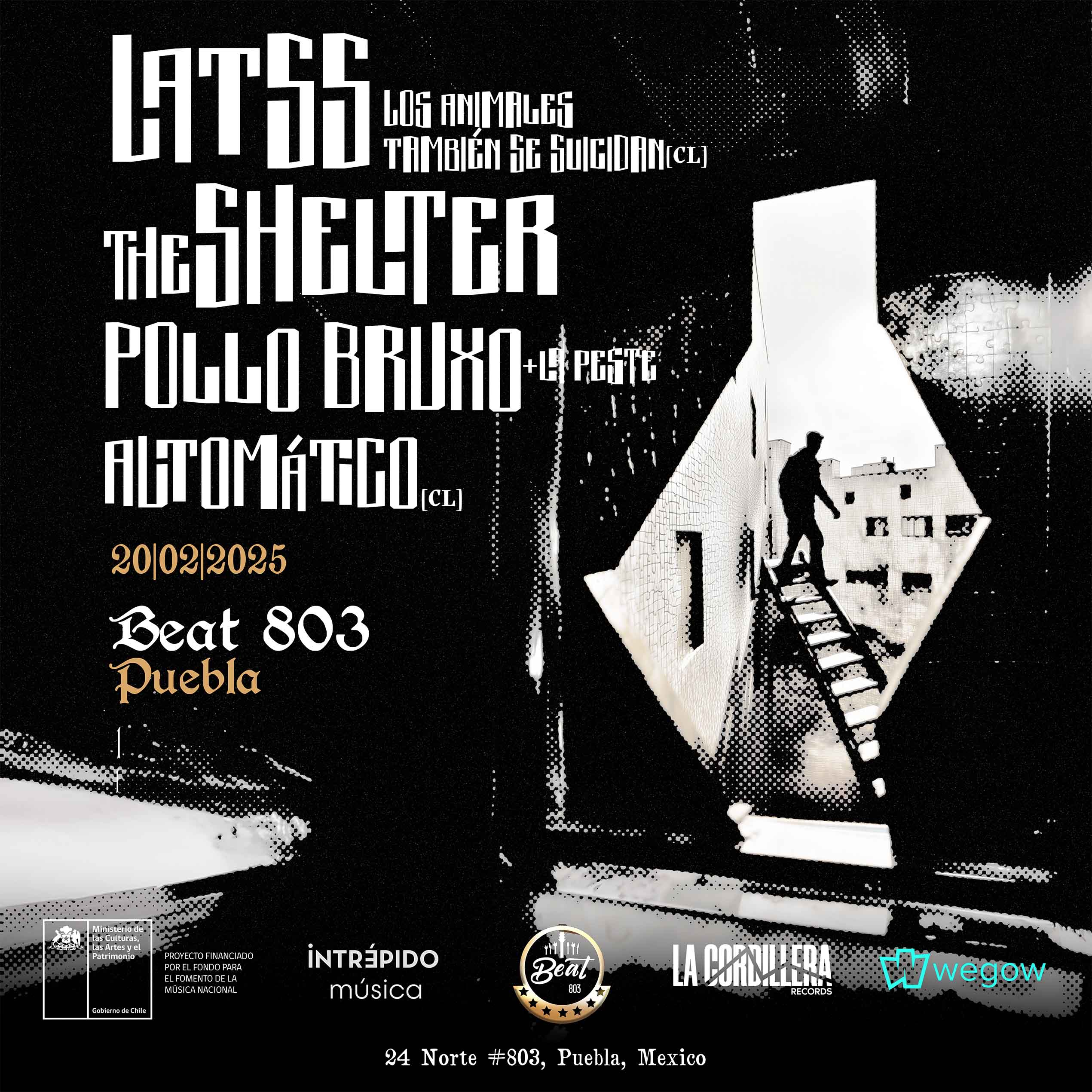 Fotografía promocional de Los Animales También Se Suicidan + The Shelter + Automático + Pollo Bruxo (+La peste)