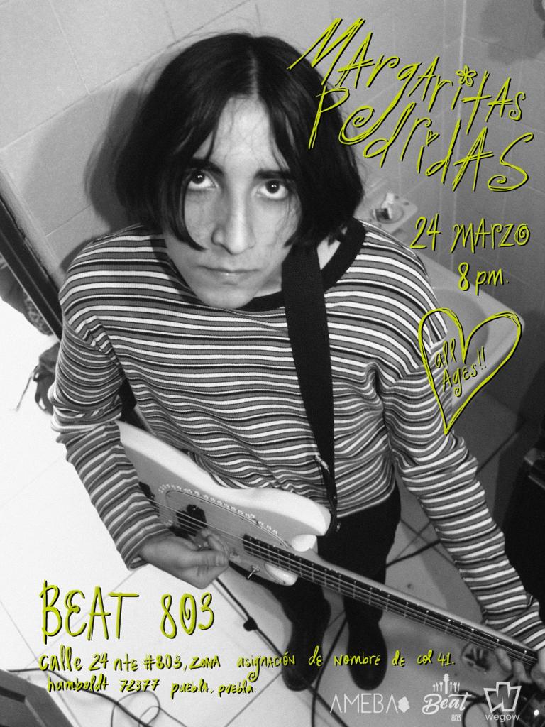 Fotografía promocional de Margaritas Podridas en Puebla