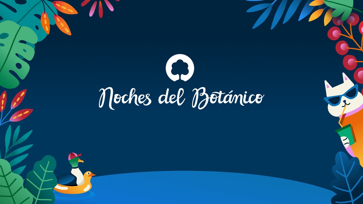 Promofoto von Noches del Botánico 2024.