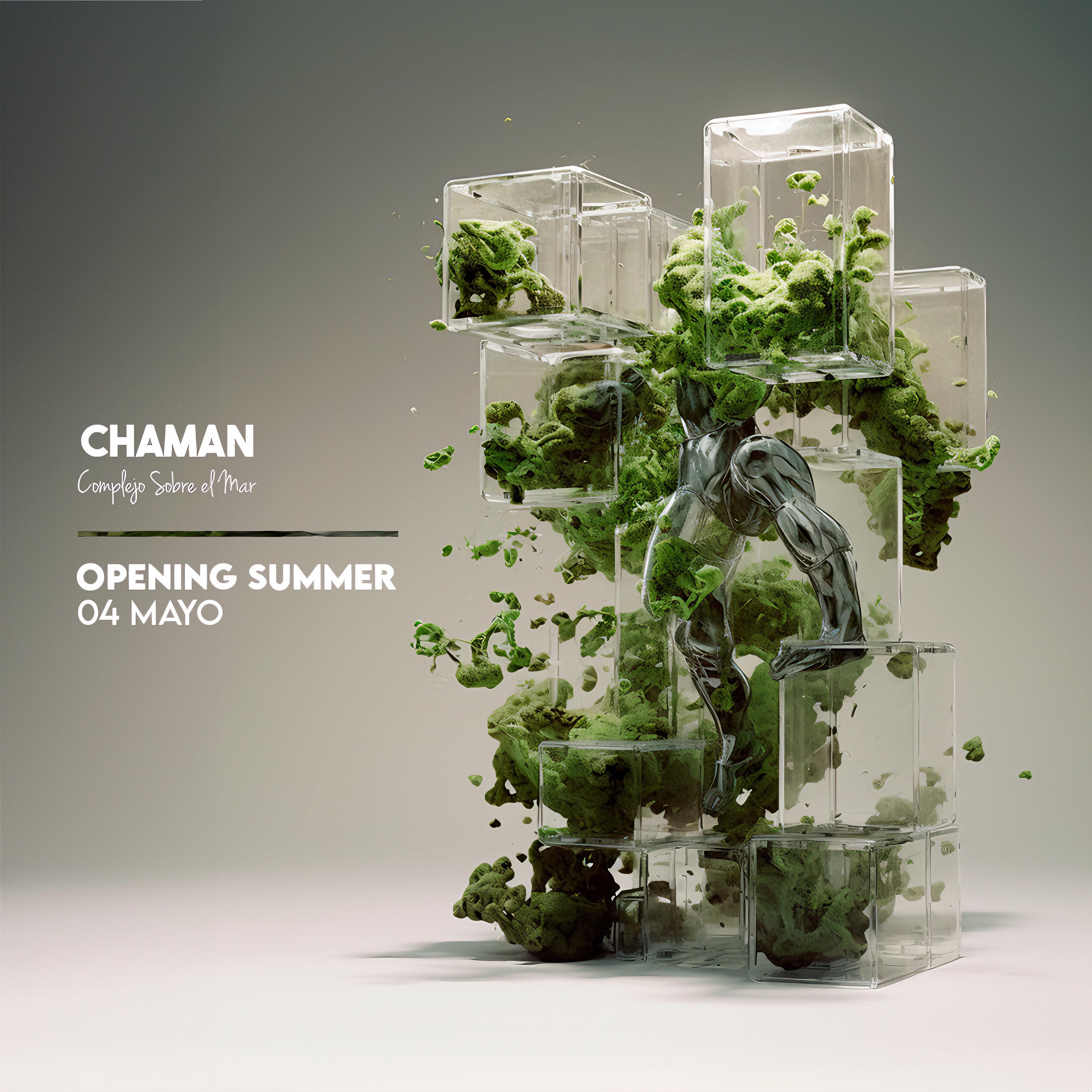 Fotografía promocional de OPENING SUMMER