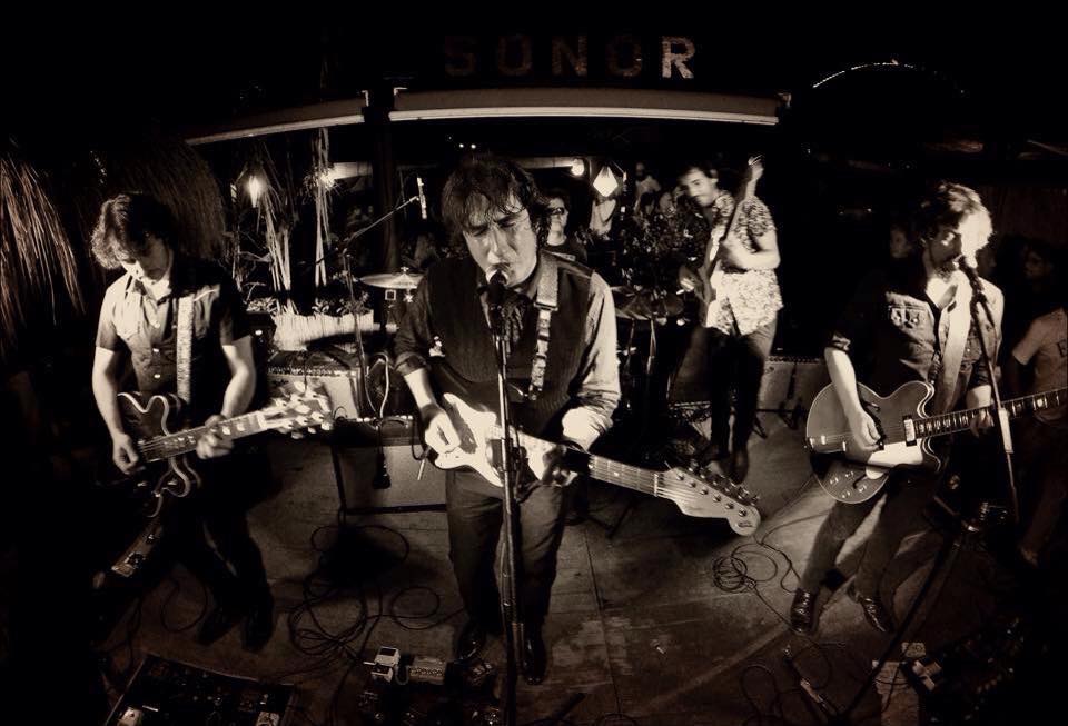 Fotografía promocional de PÁJARO en concierto