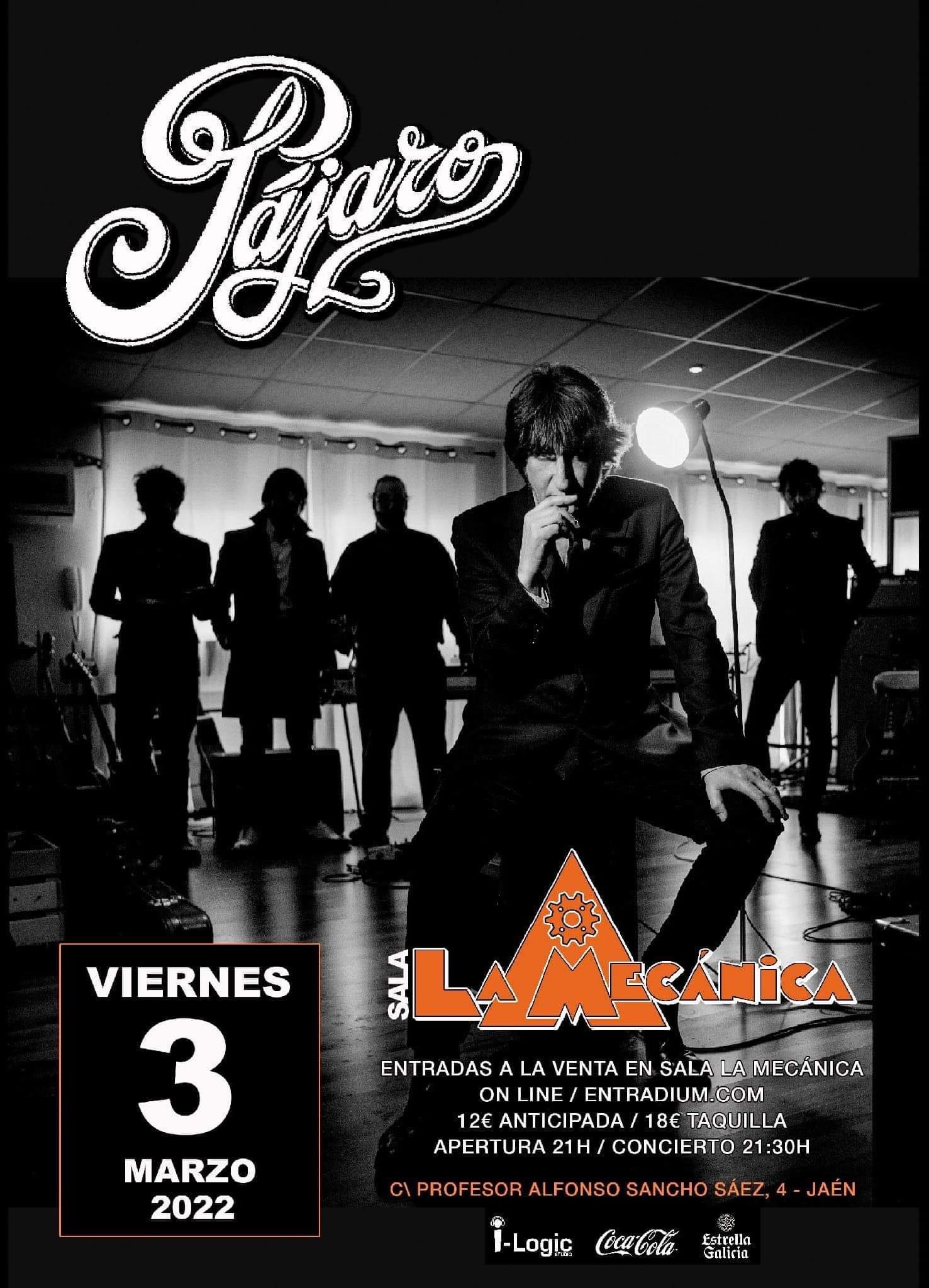 Fotografía promocional de Pajaro en Jaén Sala La Mecánica