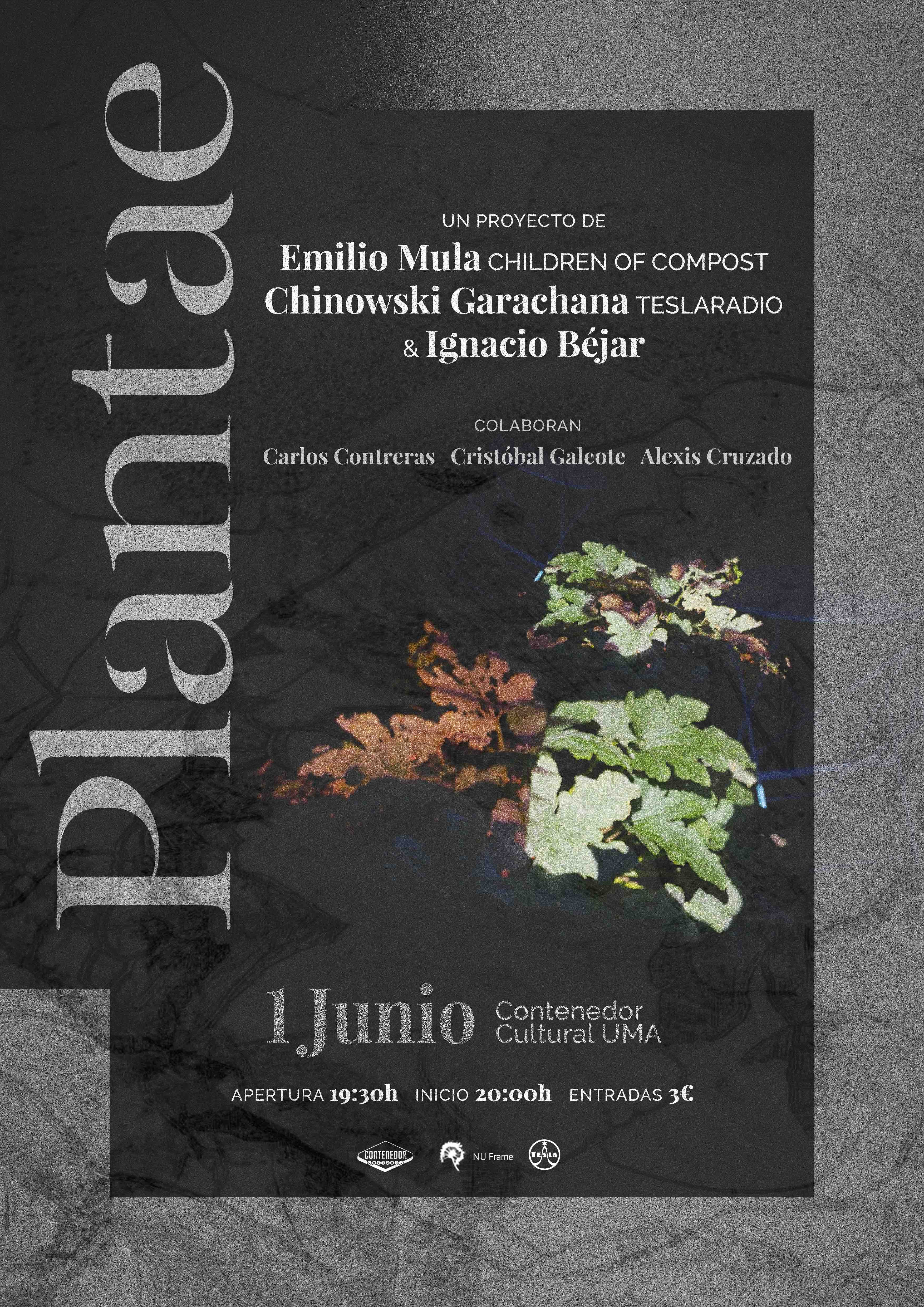 Fotografía promocional de PLANTAE