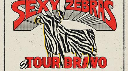 Sexy Zebras
