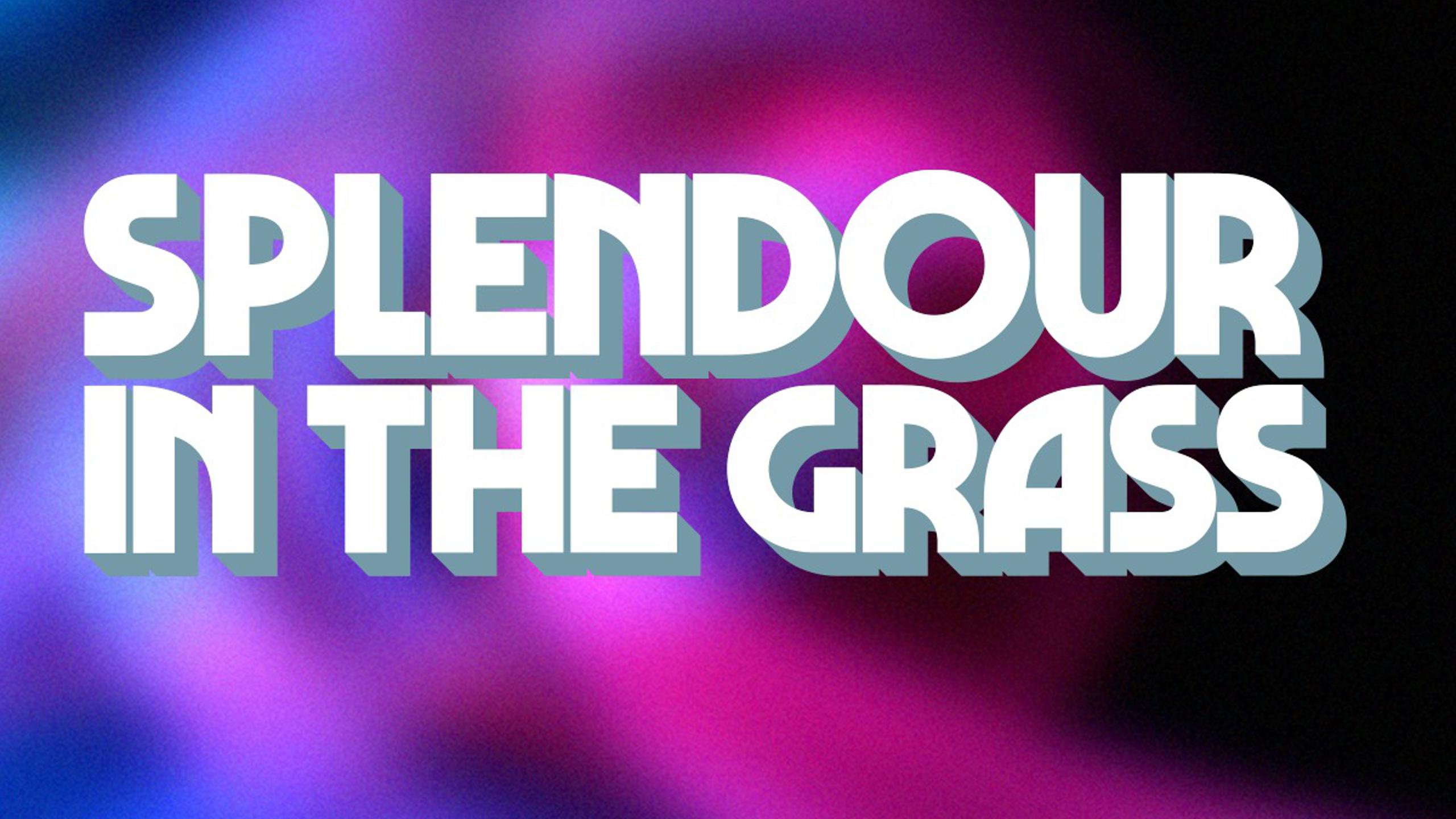 Splendour In The Grass 2024 Wegow   Splendour In The Grass 2024 1701192595.3051713.2560x1440 