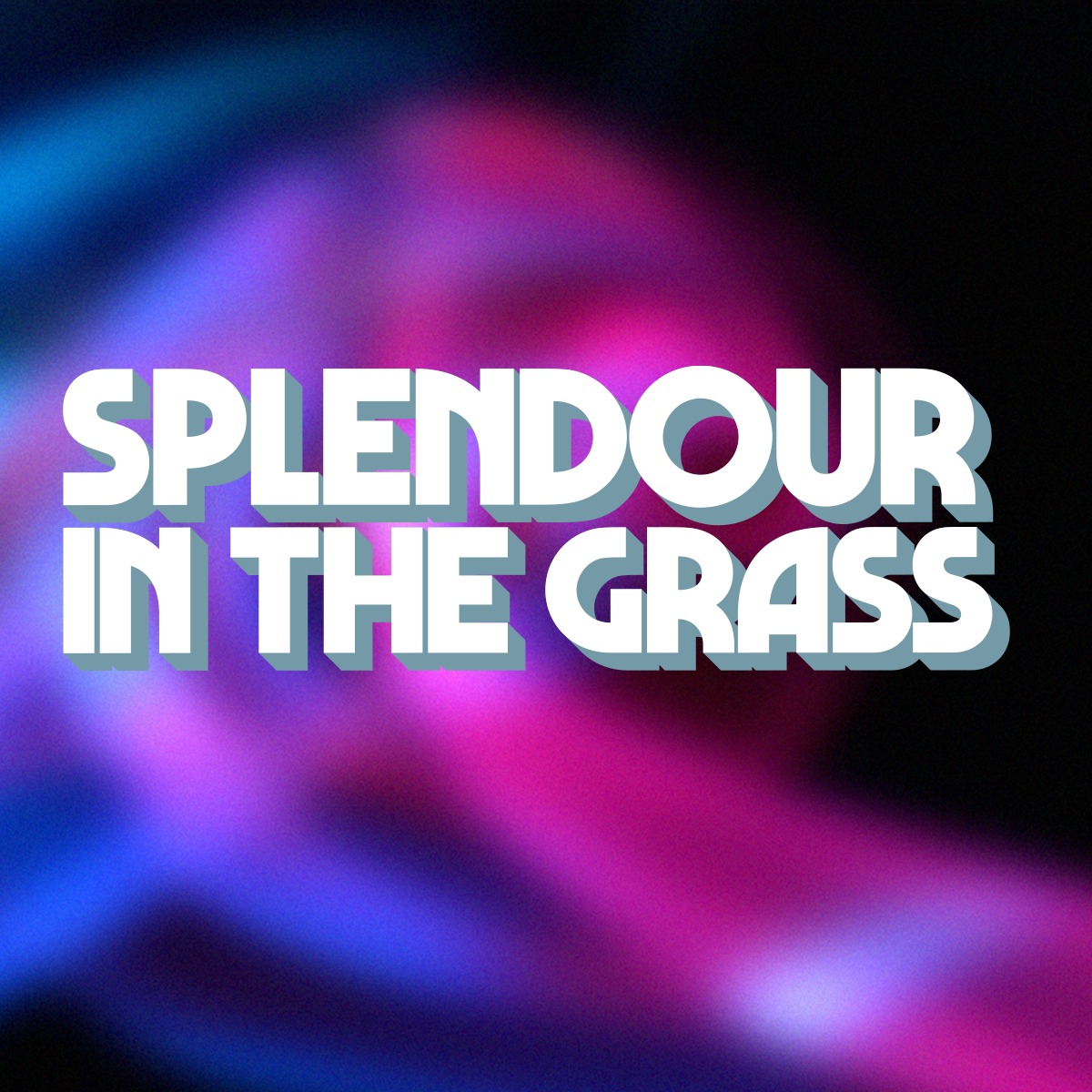 Promotional photograph of Splendour in the Grass 2024.