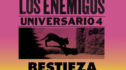 Los Enemigos concert in Madrid