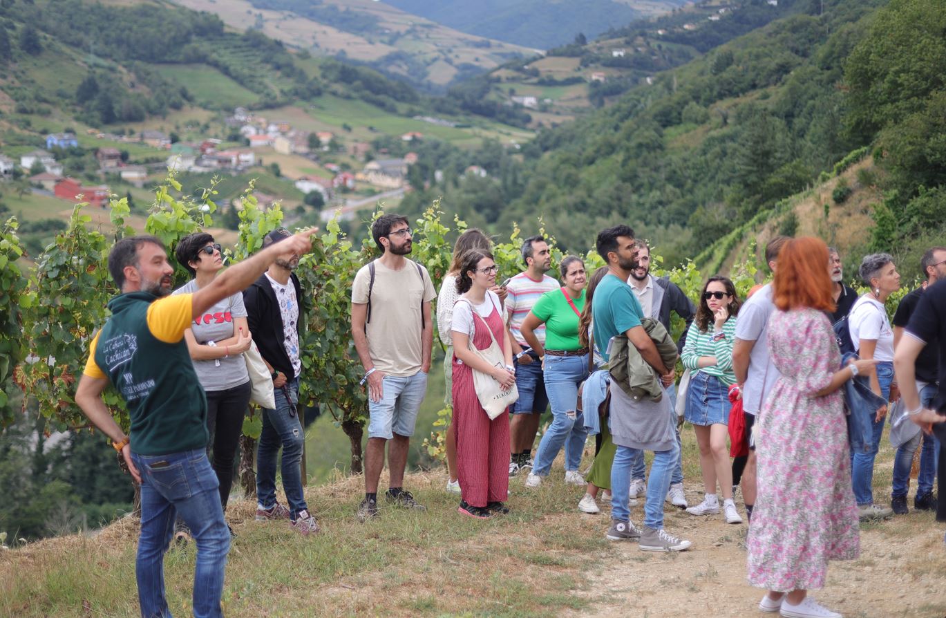 Fotografía promocional de Visita + cata a Bodega Martínez Parrondo (Las Barzaniellas, Cangas del Narcea)