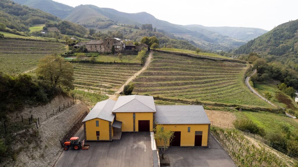 Fotografía promocional de Visita y cata en la Bodega Siluvio (Cecos, Ibias)