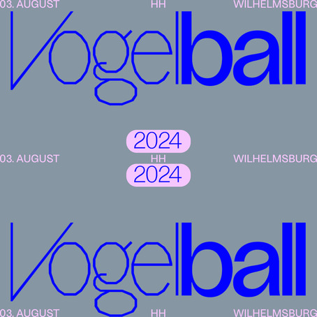Promofoto von Vogelball Festival 2024.