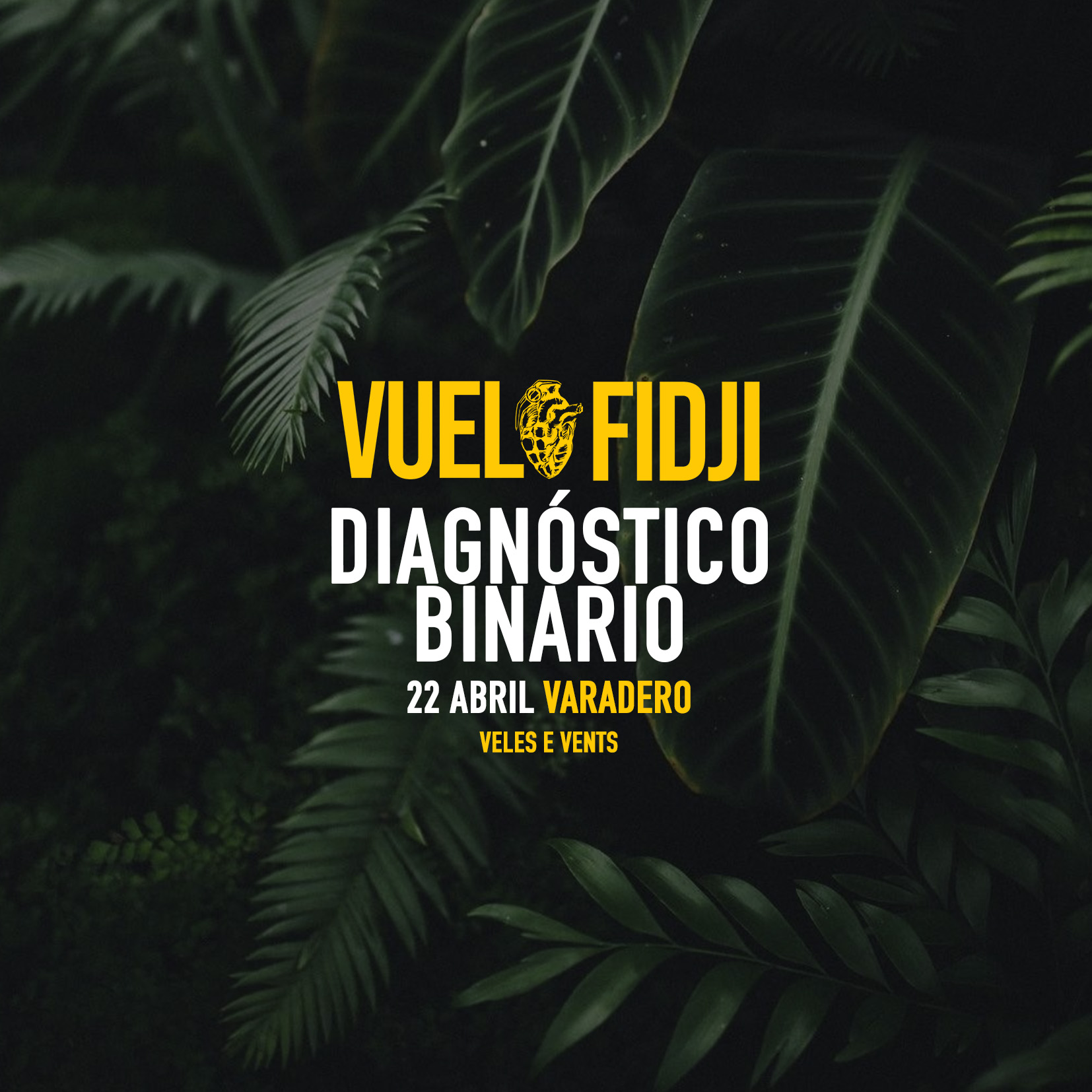 Promofoto von VUELO FIDJI + DIANÓSTICO BINARIO // VALENCIA.