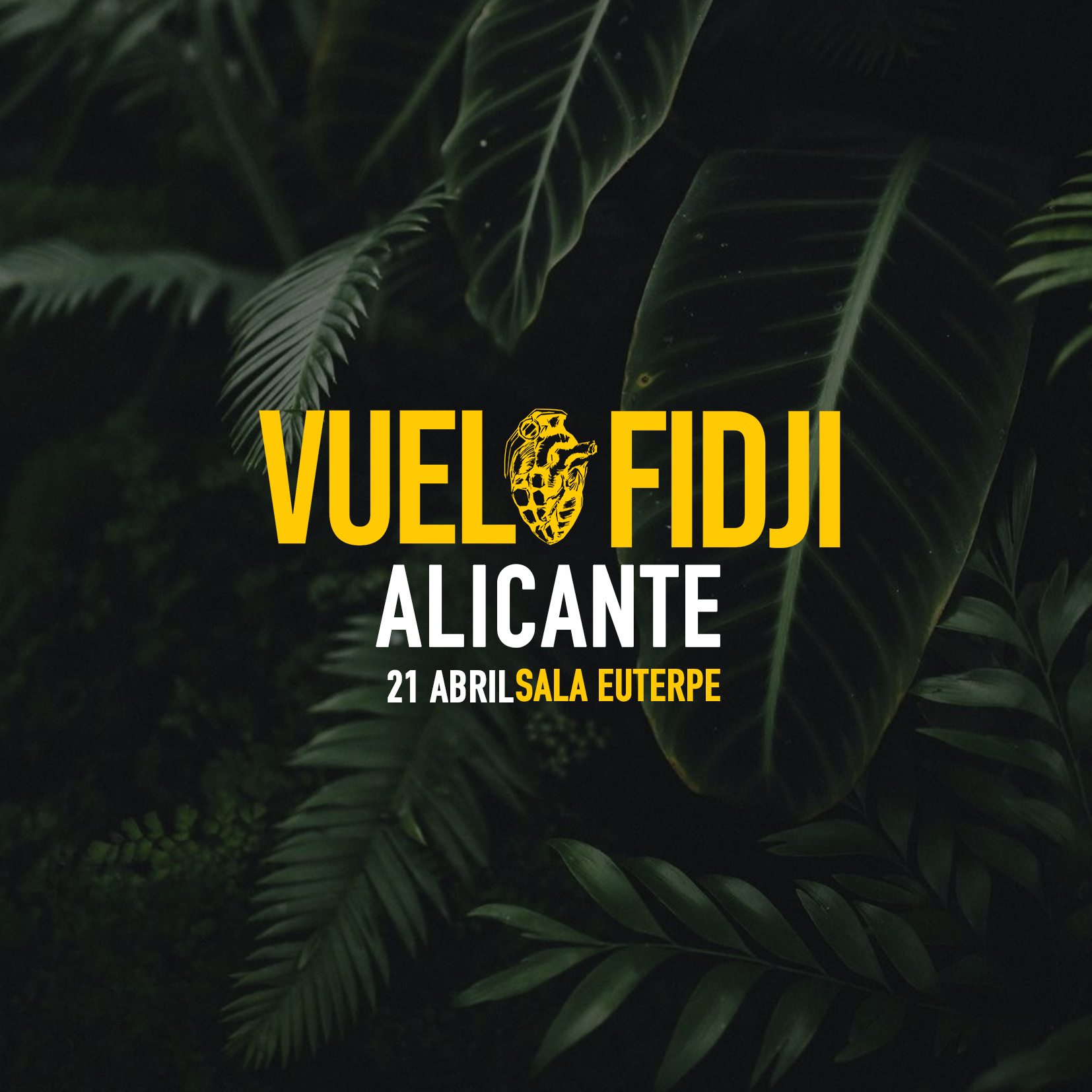 Fotografía promocional de VUELO FIDJI (ALICANTE)