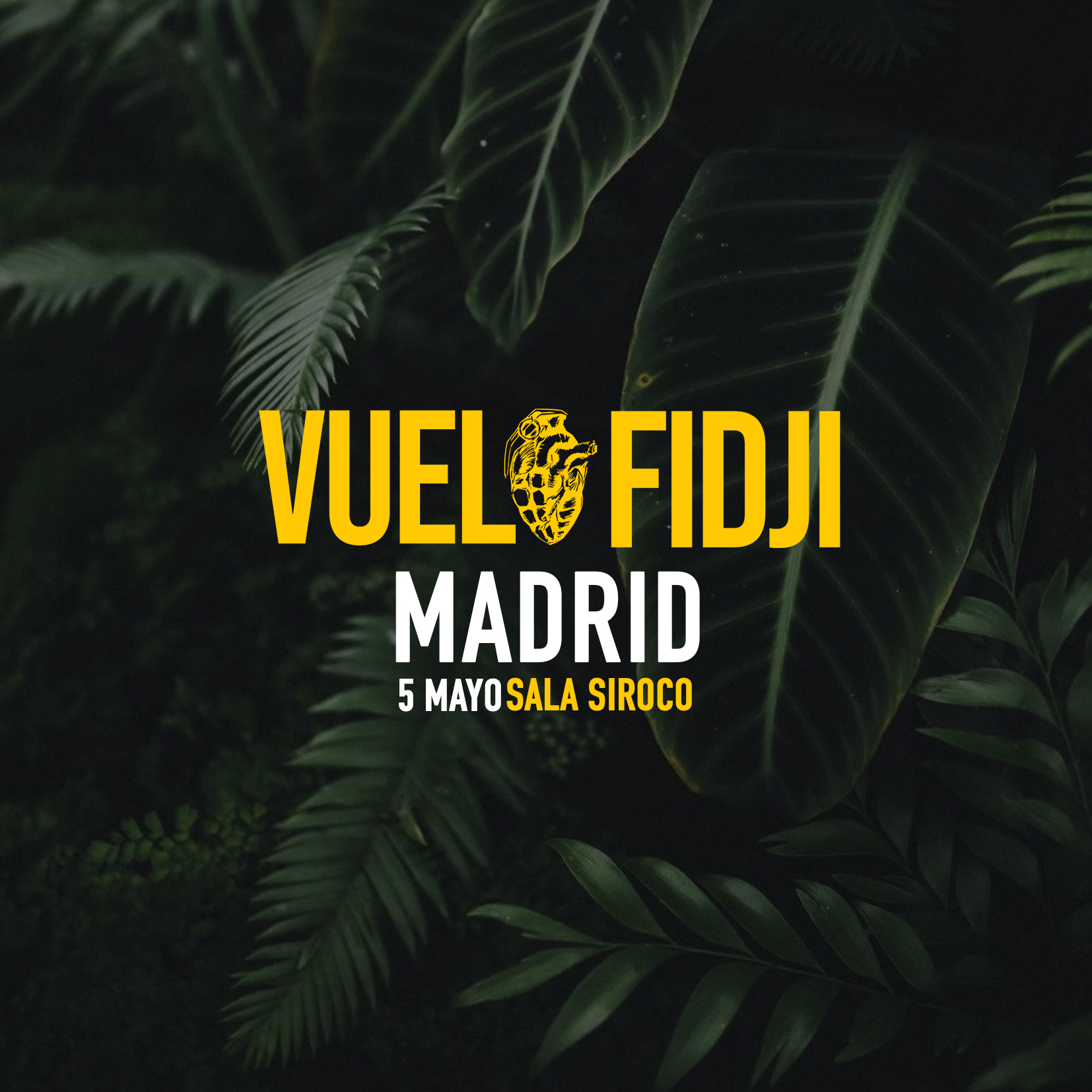 Fotografía promocional de VUELO FIDJI // MADRID