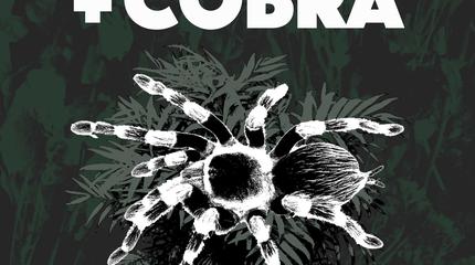 Cobra + Zea Mays concert in Madrid