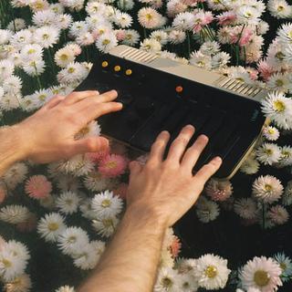 orchid kevin parker instrumento orchid kevin parker instrumento