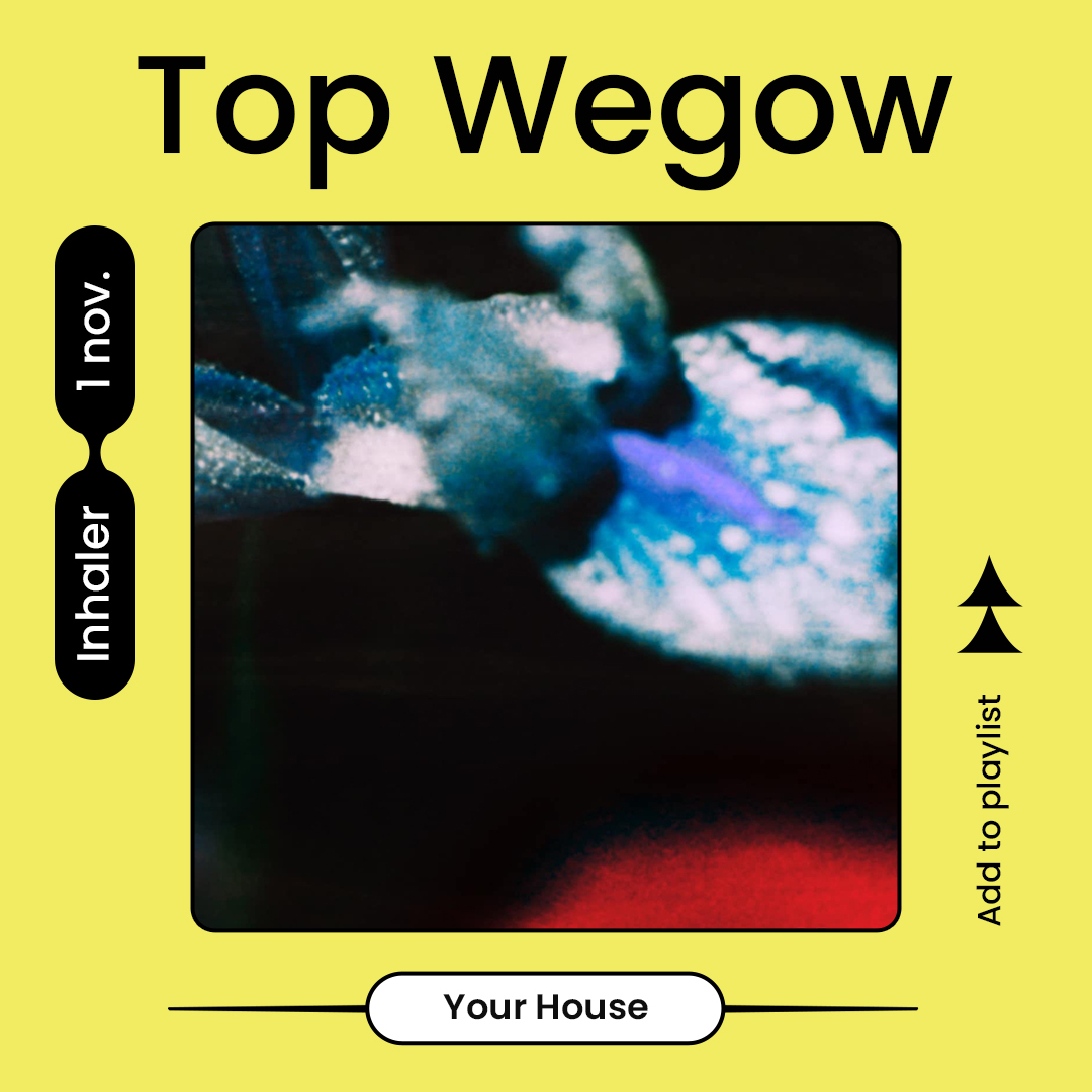 top wegow inhaler mini