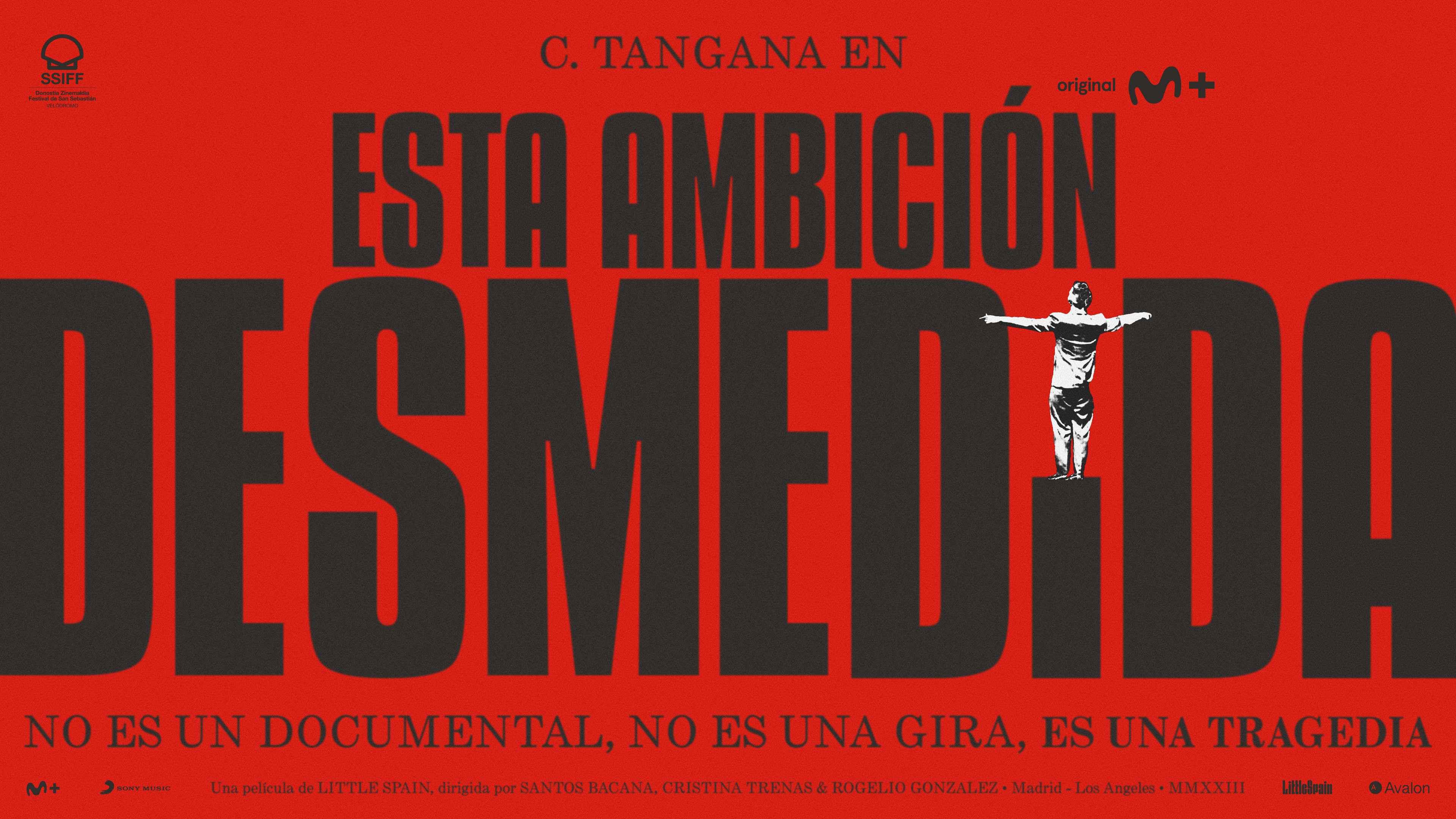 esta ambicion desmedida