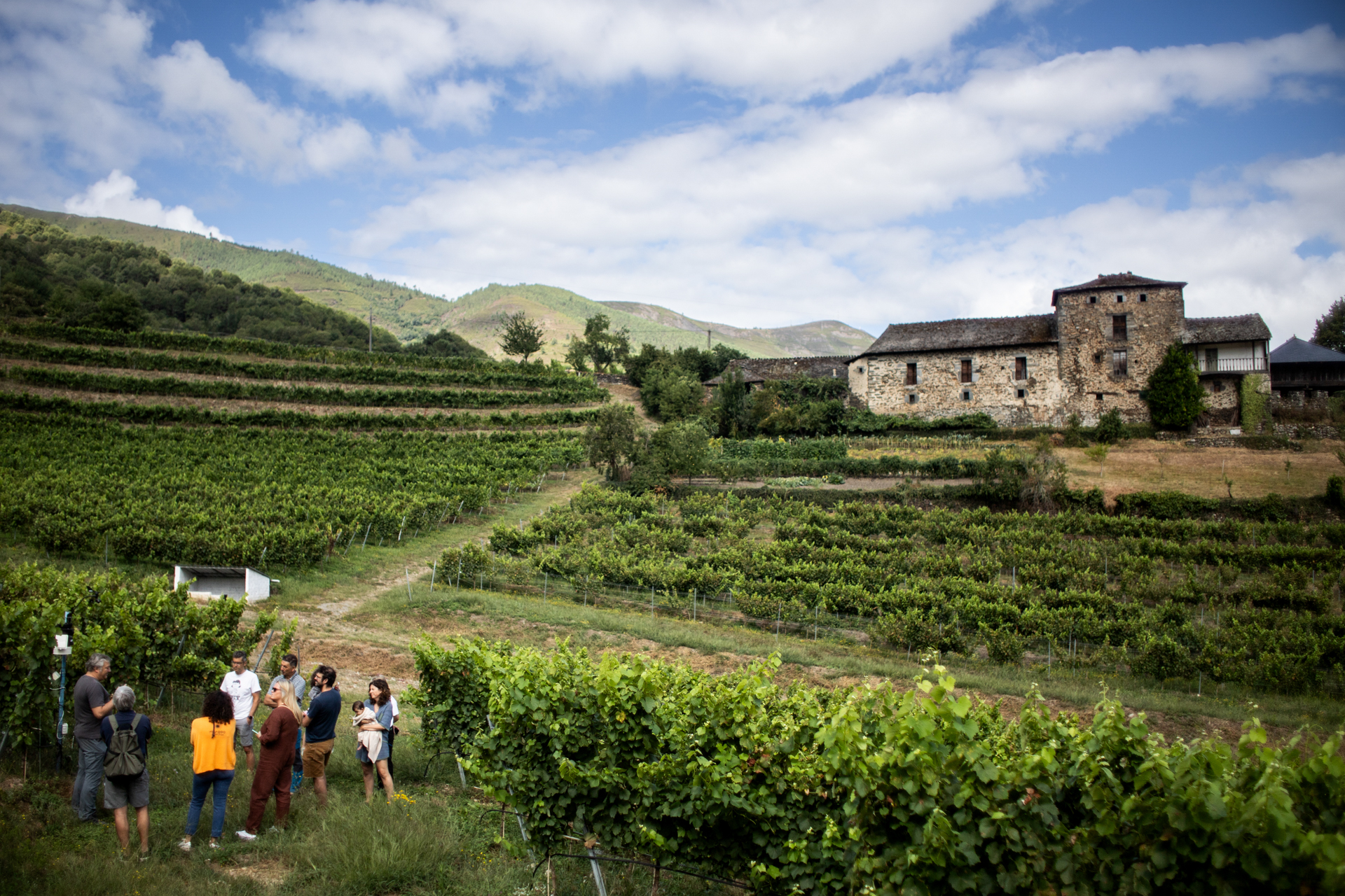 vinos prestoso fest