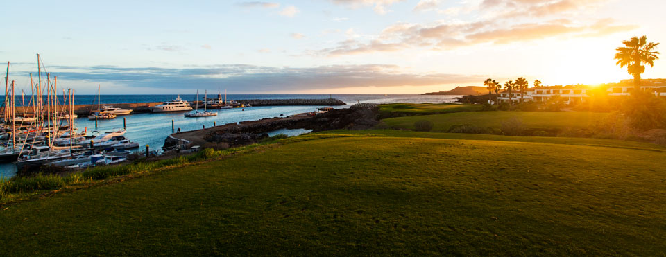 Imagen de Amarilla Golf