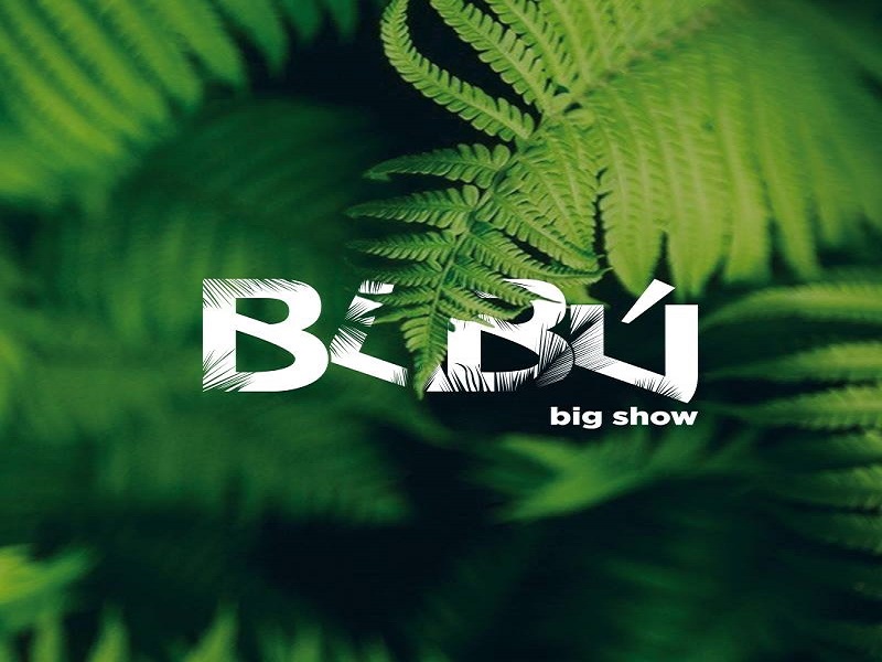 Imagen de BABÚ BIG SHOW