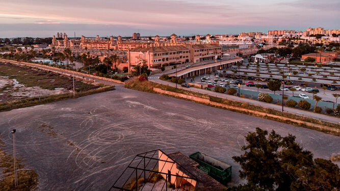 Imagen de Bahía en Vivo